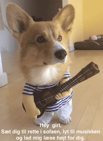 , Kommunikation, Kundeloyalitet, Marketingstrategi, SEO optimering, Sociale medier, Webdesign, Branding, Næstved, Digital marketing, Grafisk design%