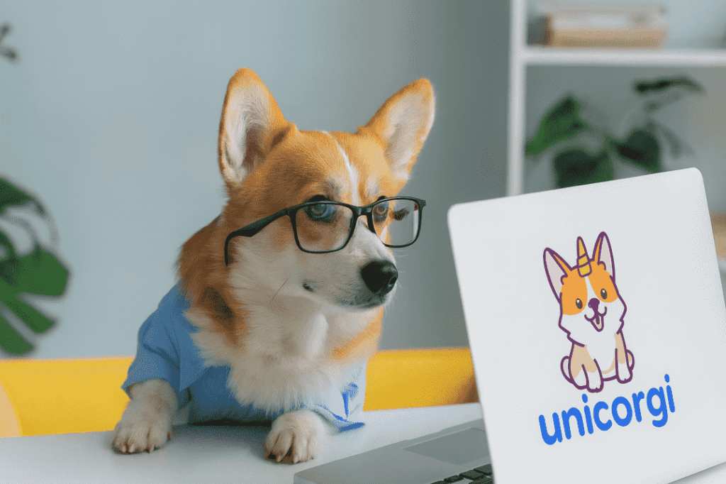 Unicorgi reklamebureau Næstved Unicorgi Corgi kigger i macskærm på reklamebureau